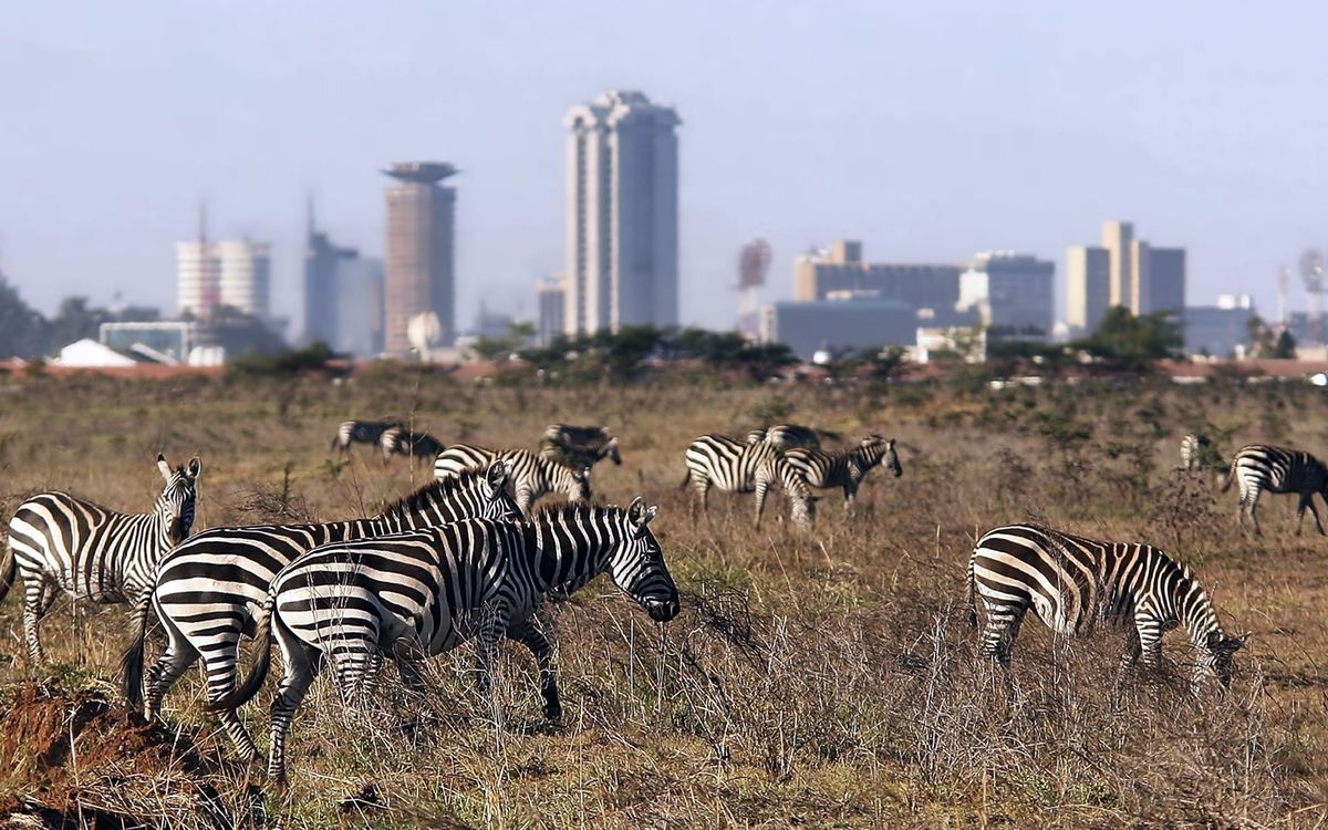 6 Days Mara Nakuru Amboseli
