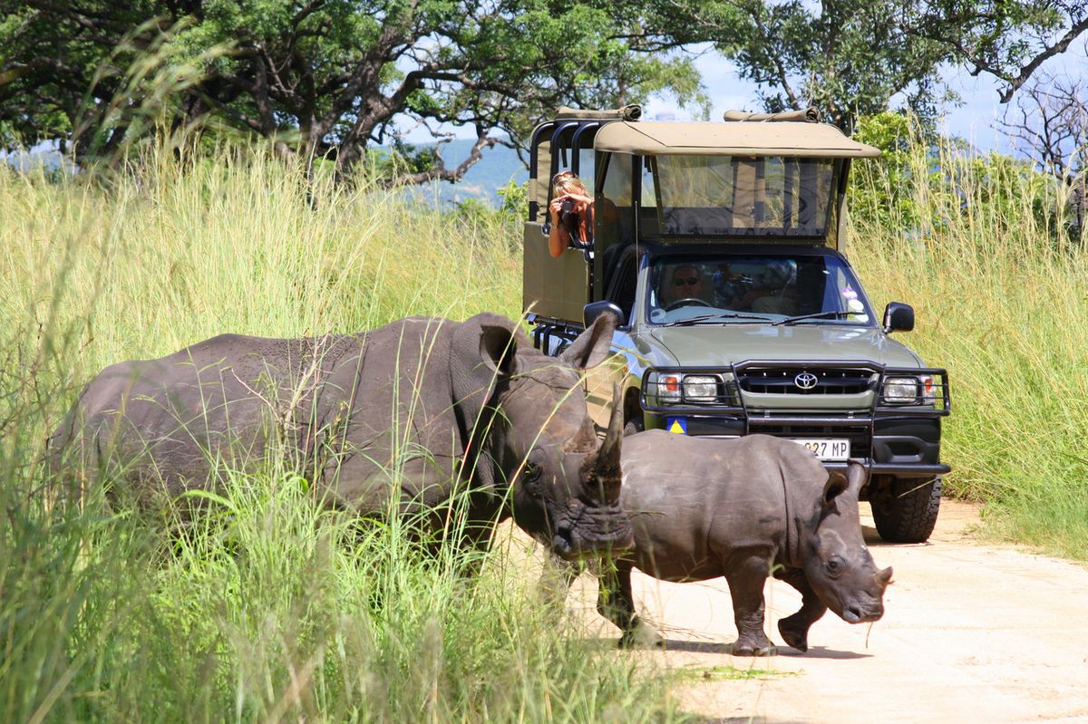 9 Days Safari