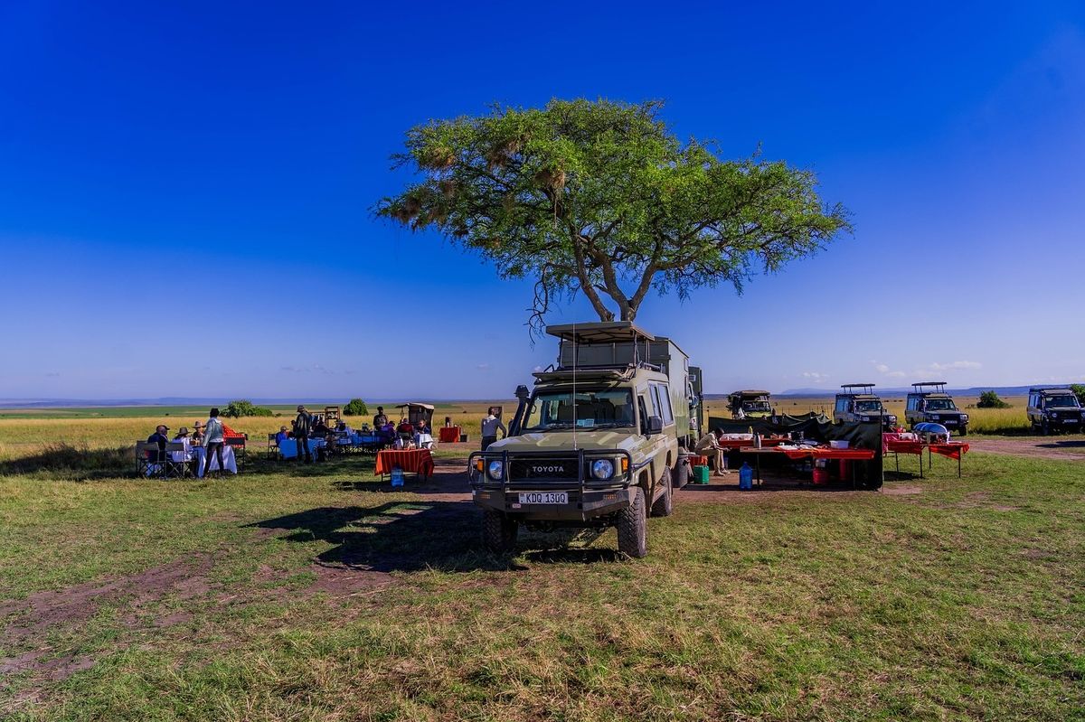 Adventure Safari